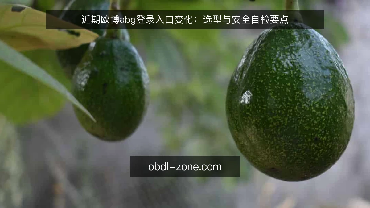 近期欧博abg登录入口变化：选型与安全自检要点
